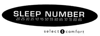SLEEP NUMBER 20 25 30 35 40 45 50 55 60 65 70 75 80 85 SELECT COMFORT logo