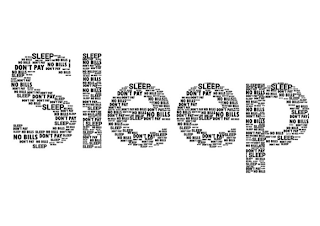 SLEEP SLEEP DON'T PAY NO BILLS logo