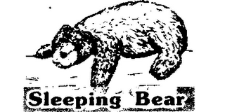 SLEEPING BEAR logo