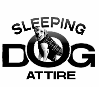 SLEEPING DOG ATTIRE logo
