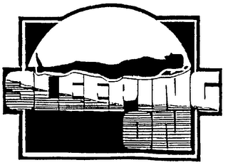 SLEEPING ON logo