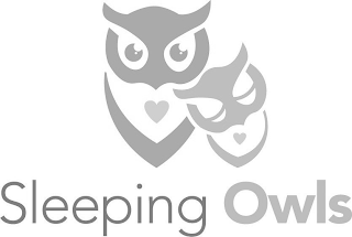 SLEEPING OWLS logo