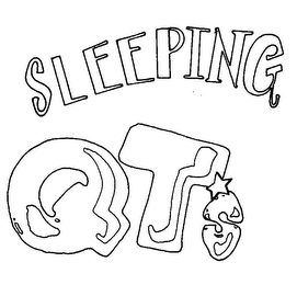 SLEEPING QTS logo