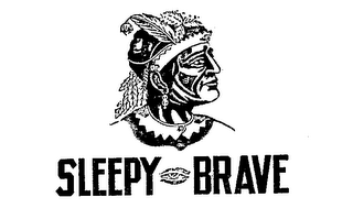 SLEEPY BRAVE logo
