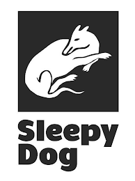 SLEEPY DOG logo