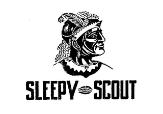 SLEEPY SCOUT logo