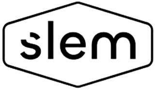 SLEM logo