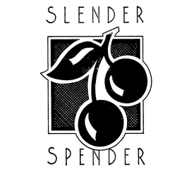 SLENDER SPENDER logo