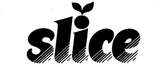SLICE logo