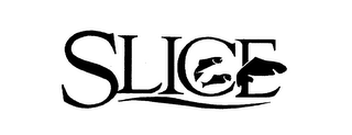 SLICE logo