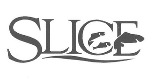SLICE logo