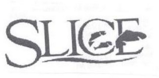 SLICE logo