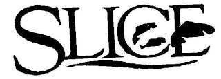 SLICE logo