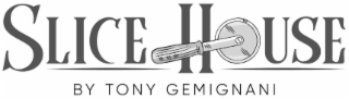 SLICE HOUSE BY TONY GEMIGNANI