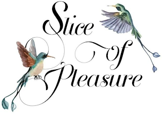 SLICE OF PLEASURE logo