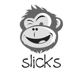 SLICKS logo