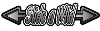 SLIDE A WILD logo