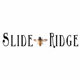 SLIDE RIDGE logo