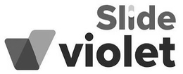 SLIDE V VIOLET logo
