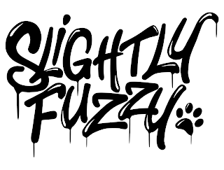 SLIGHTLY FUZZY logo
