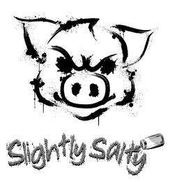 SLIGHTLY SALTY logo