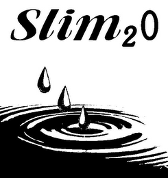 SLIM 2 0 logo