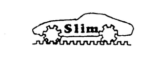 SLIM logo