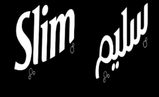 SLIM logo