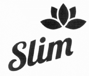 SLIM logo