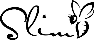 SLIM logo