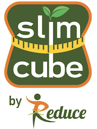 SLIM CUBE BY REDUCE logo