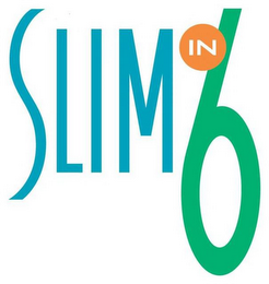 SLIM IN 6 logo