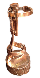 "SLIM" WILLIAM WISTER HAINES AWARD logo