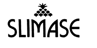 SLIMASE logo