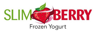 SLIMBERRY FROZEN YOGURT logo