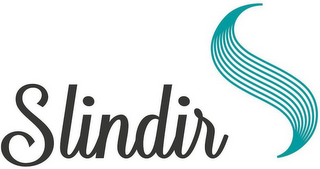 SLINDIR logo