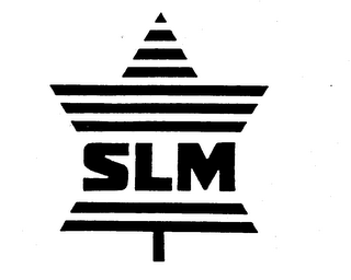 SLM logo