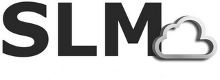 SLM logo