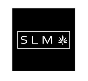 SLM logo