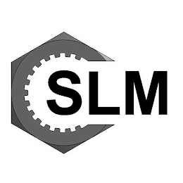 SLM logo