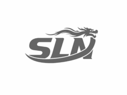 SLN logo