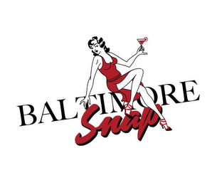 SLOANE BROWN'S BALTIMORE S.N.A.P STYLE,NETWORKING AND PARTIES logo