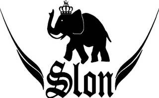 SLON logo