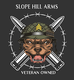 SLOPE HILL ARMS VETERAN OWNED logo