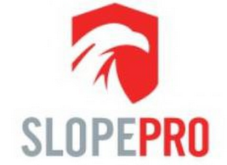 SLOPEPRO logo