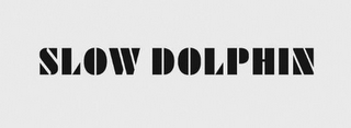 SLOW DOLPHIN logo
