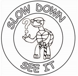 SLOW DOWN SEE IT ? logo
