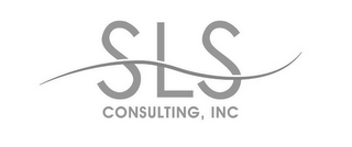 SLS CONSULTING, INC logo