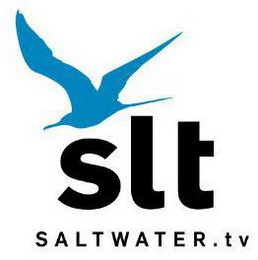 SLT SALTWATER.TV logo