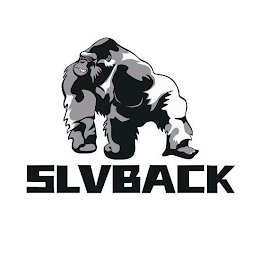 SLVBACK logo